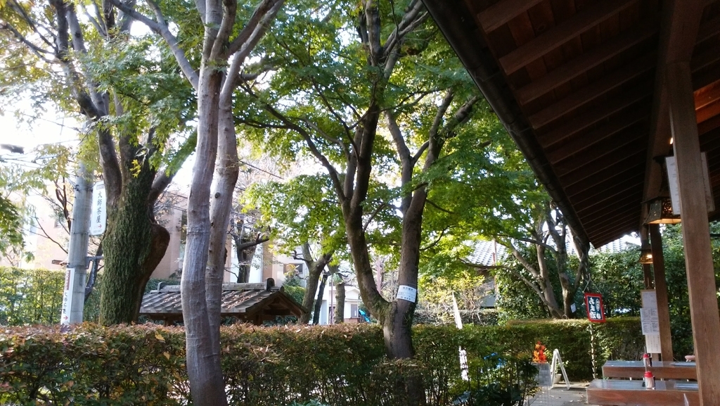 f:id:anbeto:20181120113558j:plain f:id:anbeto:20181120113558j:plain
