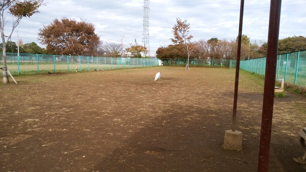 f:id:anbeto:20181120120813j:plain f:id:anbeto:20181120120813j:plain