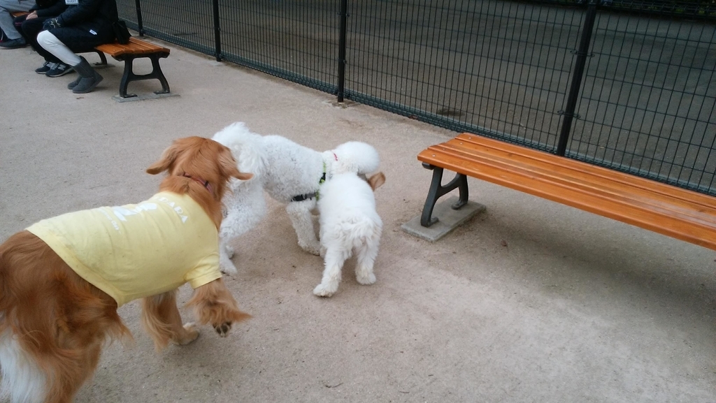 f:id:anbeto:20190106145846j:plain