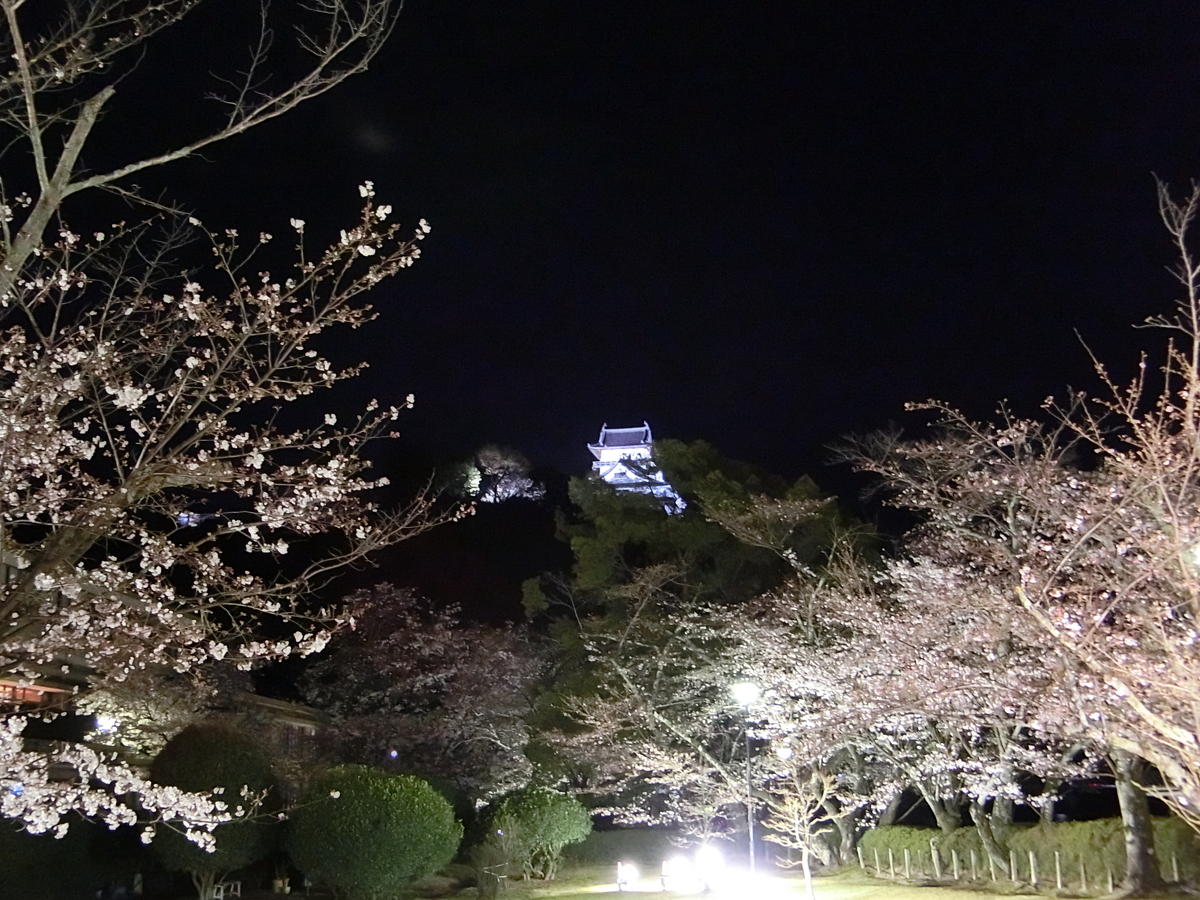 f:id:anbeto:20190401202230j:plain f:id:anbeto:20190401202230j:plain