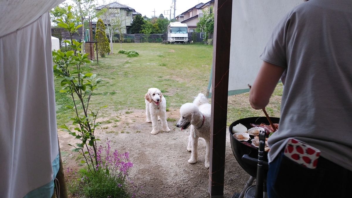 f:id:anbeto:20190513181529j:plain