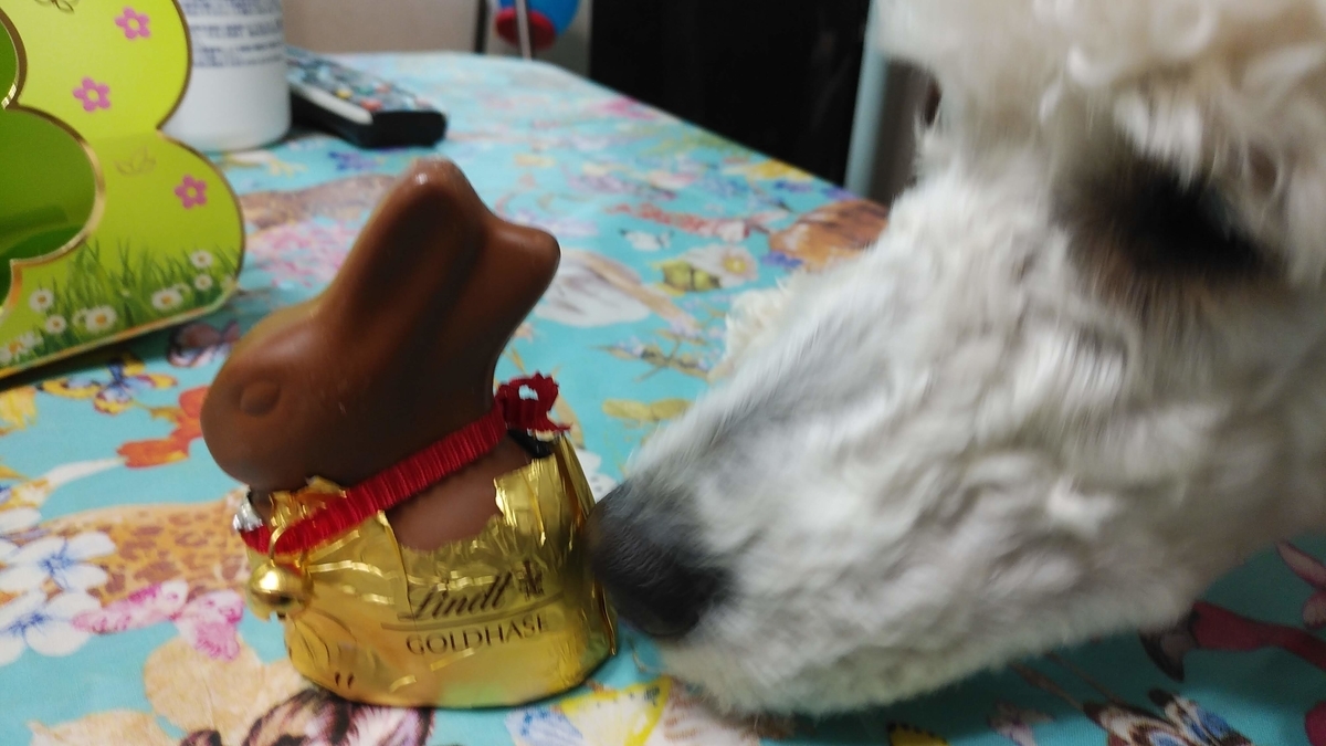 f:id:anbeto:20190810143608j:plain f:id:anbeto:20190810143608j:plain