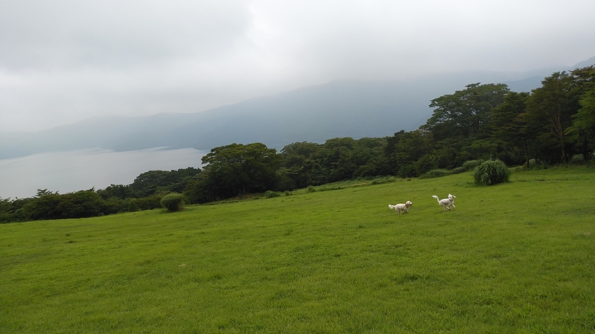 f:id:anbeto:20190820093241j:plain