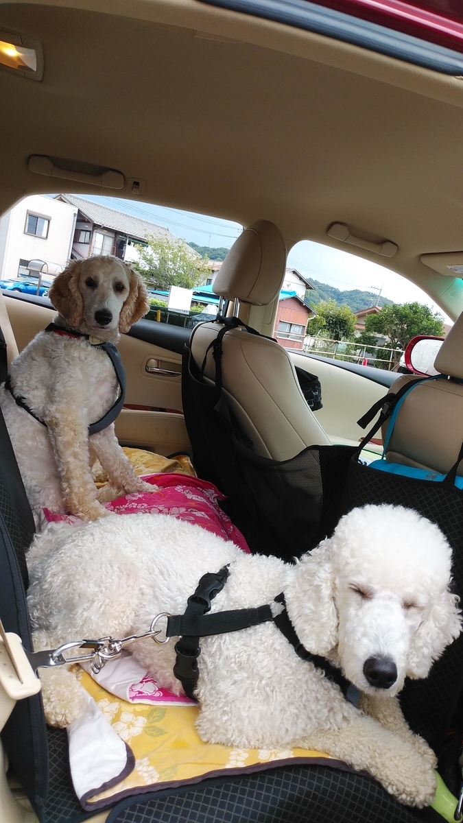 f:id:anbeto:20190826144013j:plain