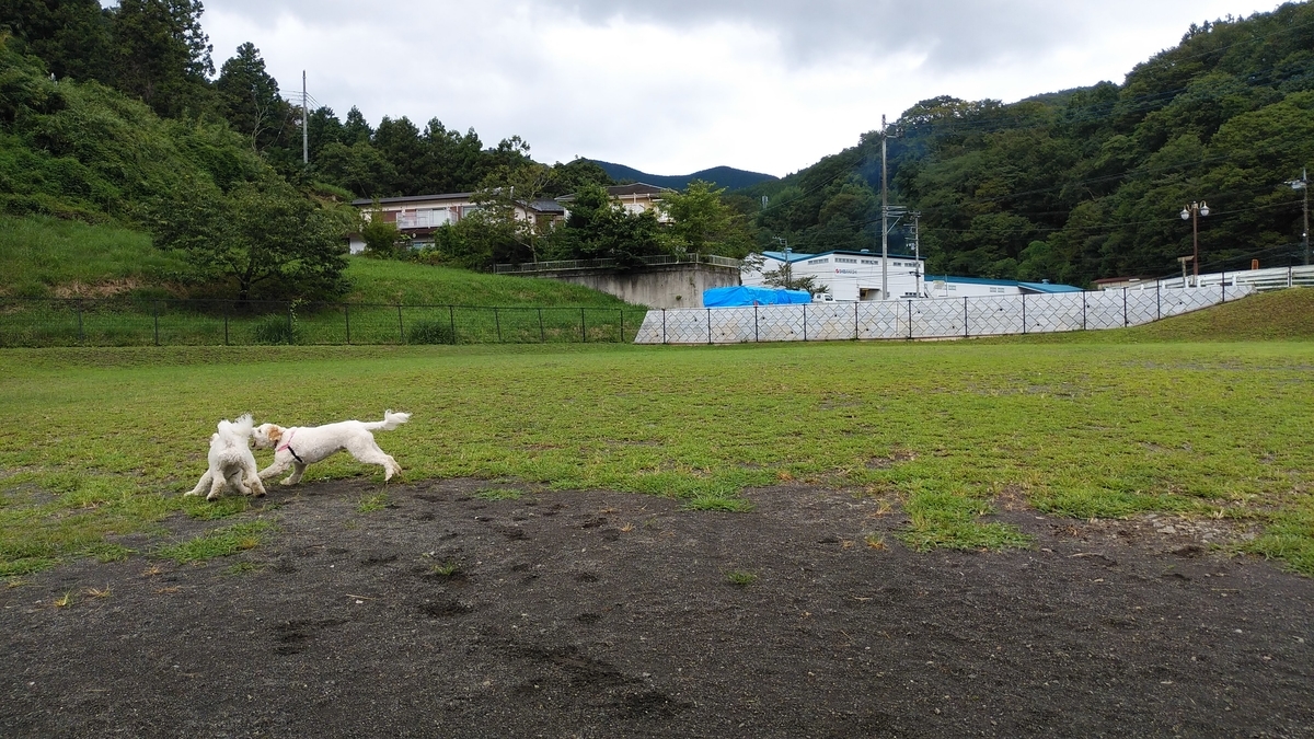 f:id:anbeto:20190916100649j:plain f:id:anbeto:20190916100649j:plain