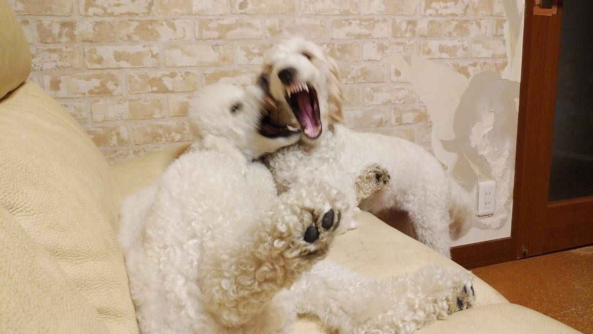 f:id:anbeto:20190929195218j:plain