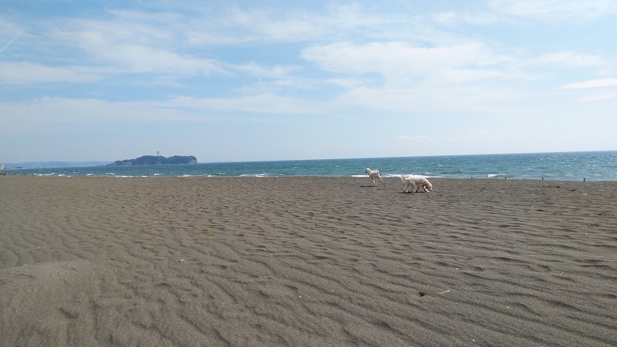 f:id:anbeto:20191008124311j:plain f:id:anbeto:20191008124311j:plain