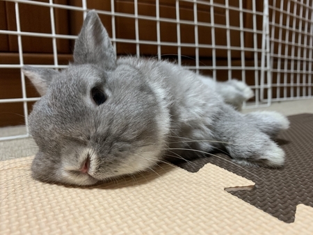 f:id:anbou:20190819110325j:plain f:id:anbou:20190819110325j:plain