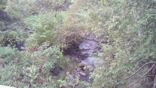 Nec_0440 Nec_0440