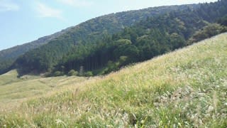Nec_0423 Nec_0423