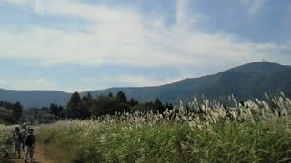 Nec_0436 Nec_0436