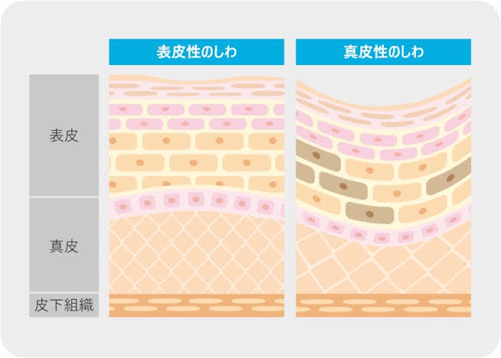 f:id:anchanC:20230310205531j:image