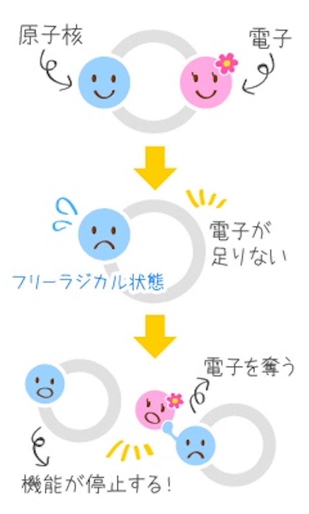 f:id:anchanC:20230312171214j:image