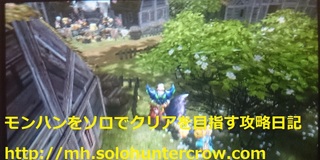 村テオまで (1).JPG