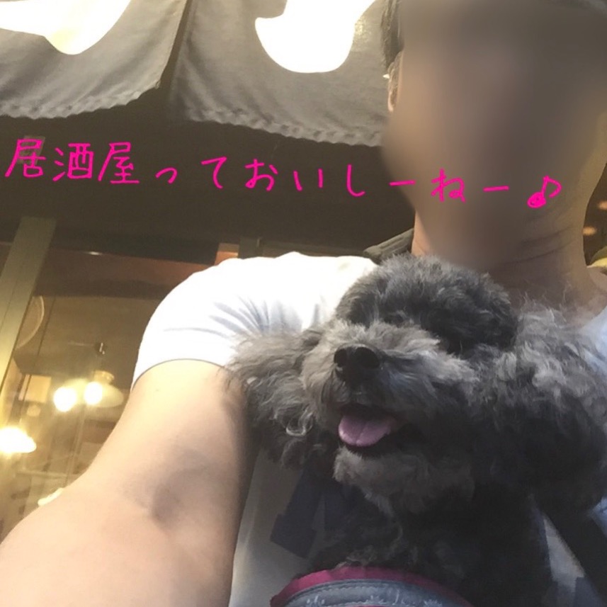 f:id:ancoco5535:20170820193653j:plain