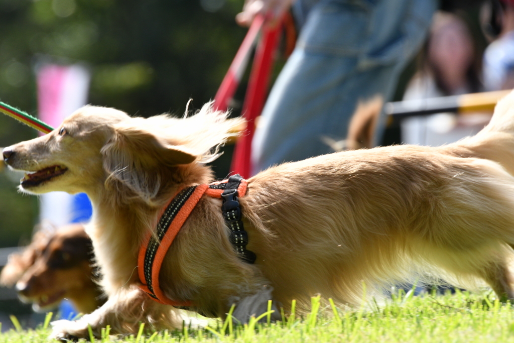 f:id:ancoco5535:20171002010502j:plain