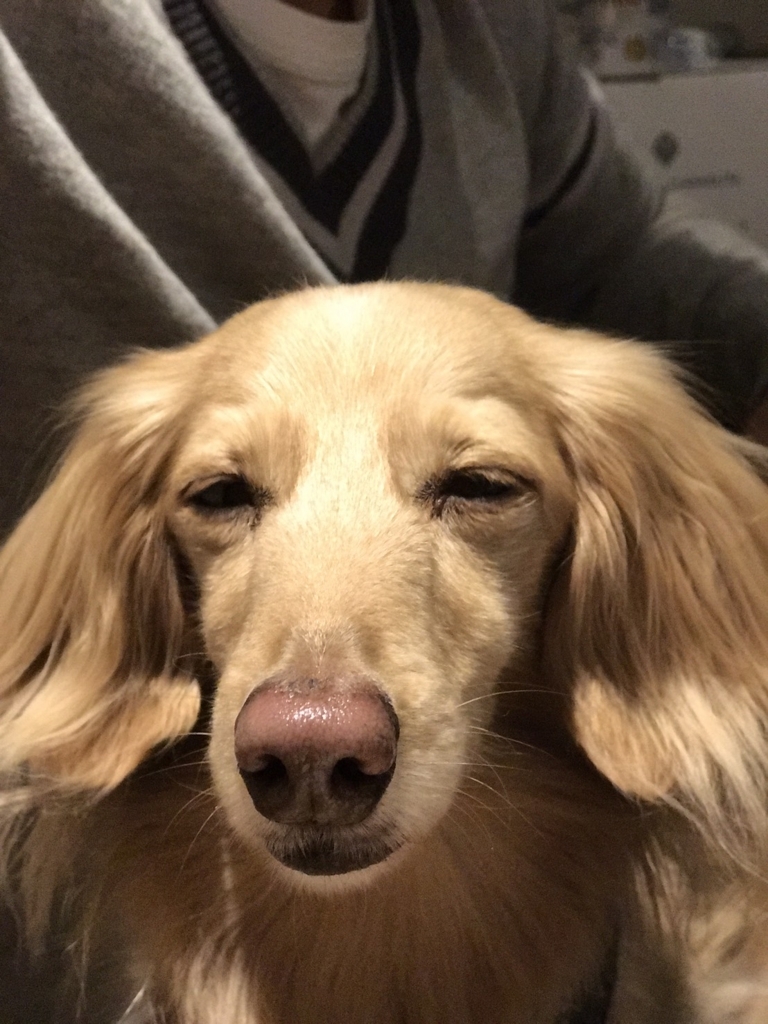 f:id:ancoco5535:20171019231644j:plain