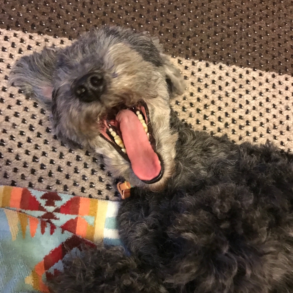 f:id:ancoco5535:20171019232845j:plain