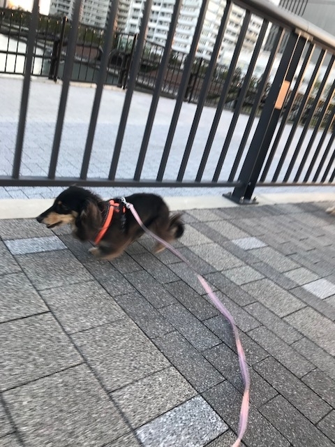 f:id:ancoco5535:20171112202747j:plain f:id:ancoco5535:20171112202747j:plain