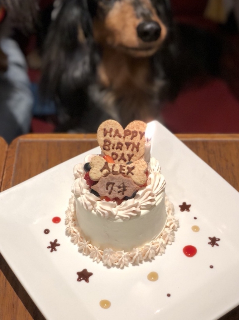 f:id:ancoco5535:20180501001217j:plain
