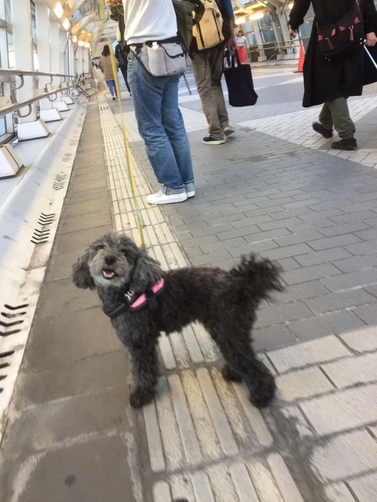 f:id:ancoco5535:20180505213409j:plain f:id:ancoco5535:20180505213409j:plain