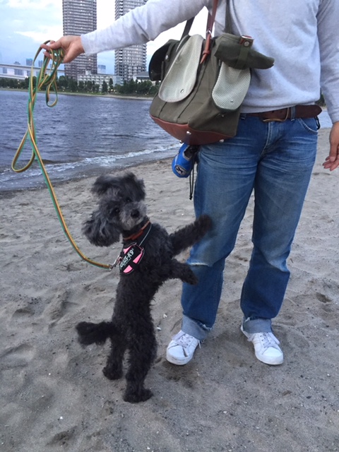 f:id:ancoco5535:20180505214556j:plain f:id:ancoco5535:20180505214556j:plain