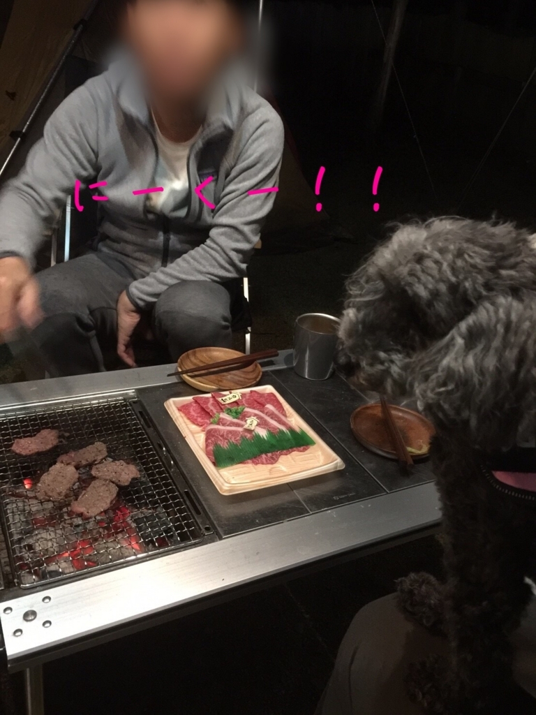 f:id:ancoco5535:20180624235628j:plain f:id:ancoco5535:20180624235628j:plain