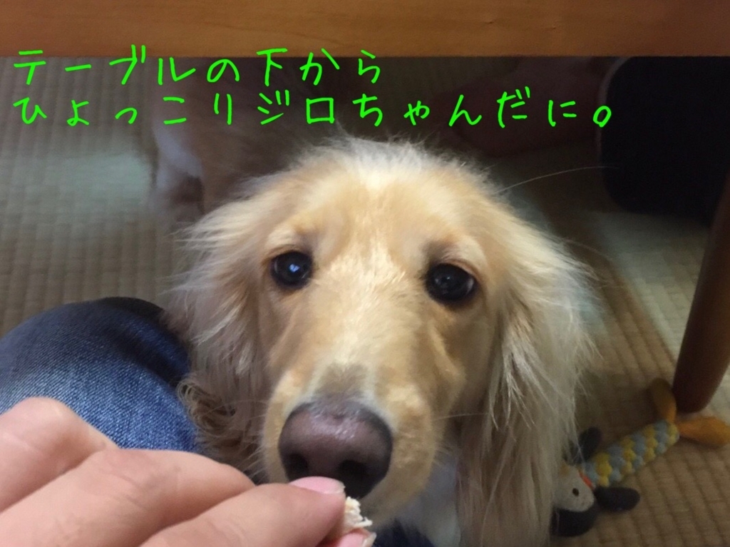 f:id:ancoco5535:20180716210607j:plain