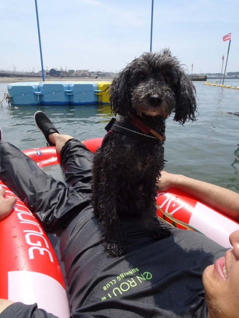 f:id:ancoco5535:20180717224530j:plain f:id:ancoco5535:20180717224530j:plain