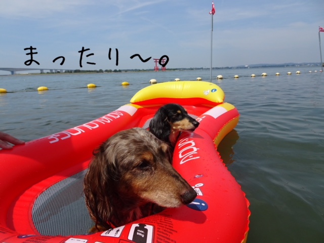 f:id:ancoco5535:20180718231619j:plain f:id:ancoco5535:20180718231619j:plain
