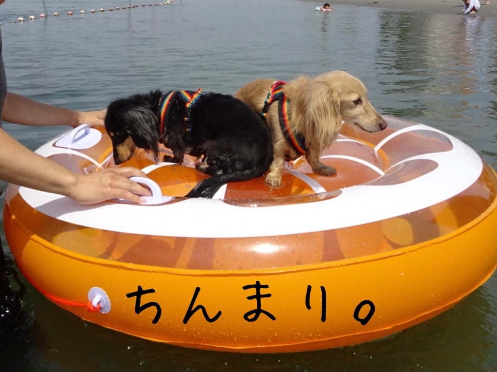 f:id:ancoco5535:20180718232229j:plain f:id:ancoco5535:20180718232229j:plain