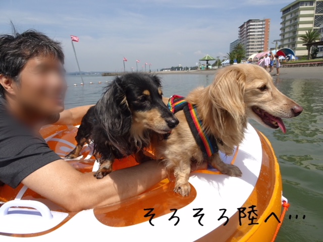 f:id:ancoco5535:20180718232428j:plain f:id:ancoco5535:20180718232428j:plain
