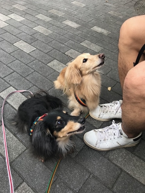 f:id:ancoco5535:20180901095551j:plain f:id:ancoco5535:20180901095551j:plain