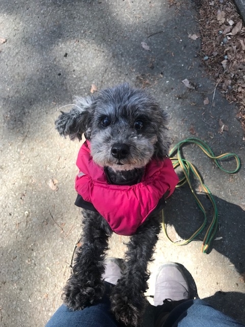 f:id:ancoco5535:20190324225239j:plain f:id:ancoco5535:20190324225239j:plain