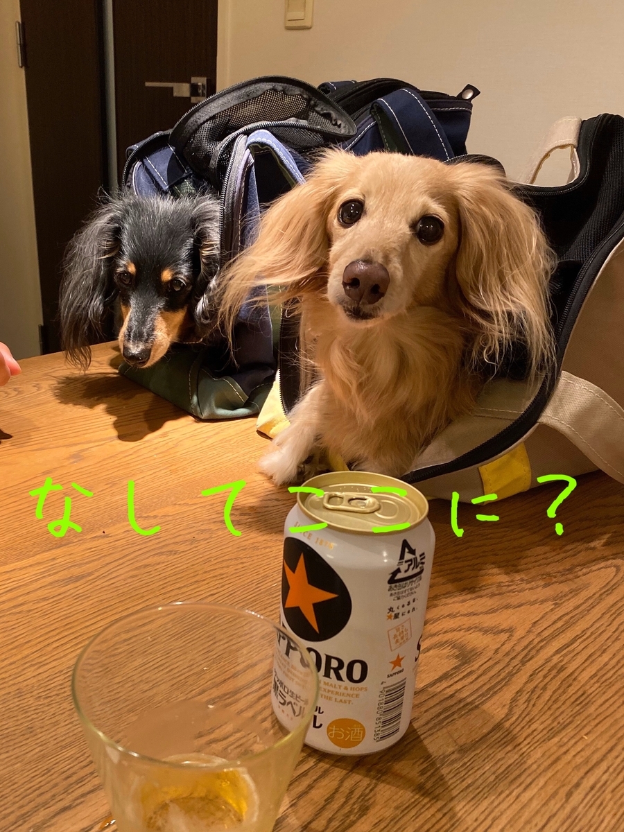f:id:ancoco5535:20191125232849j:plain