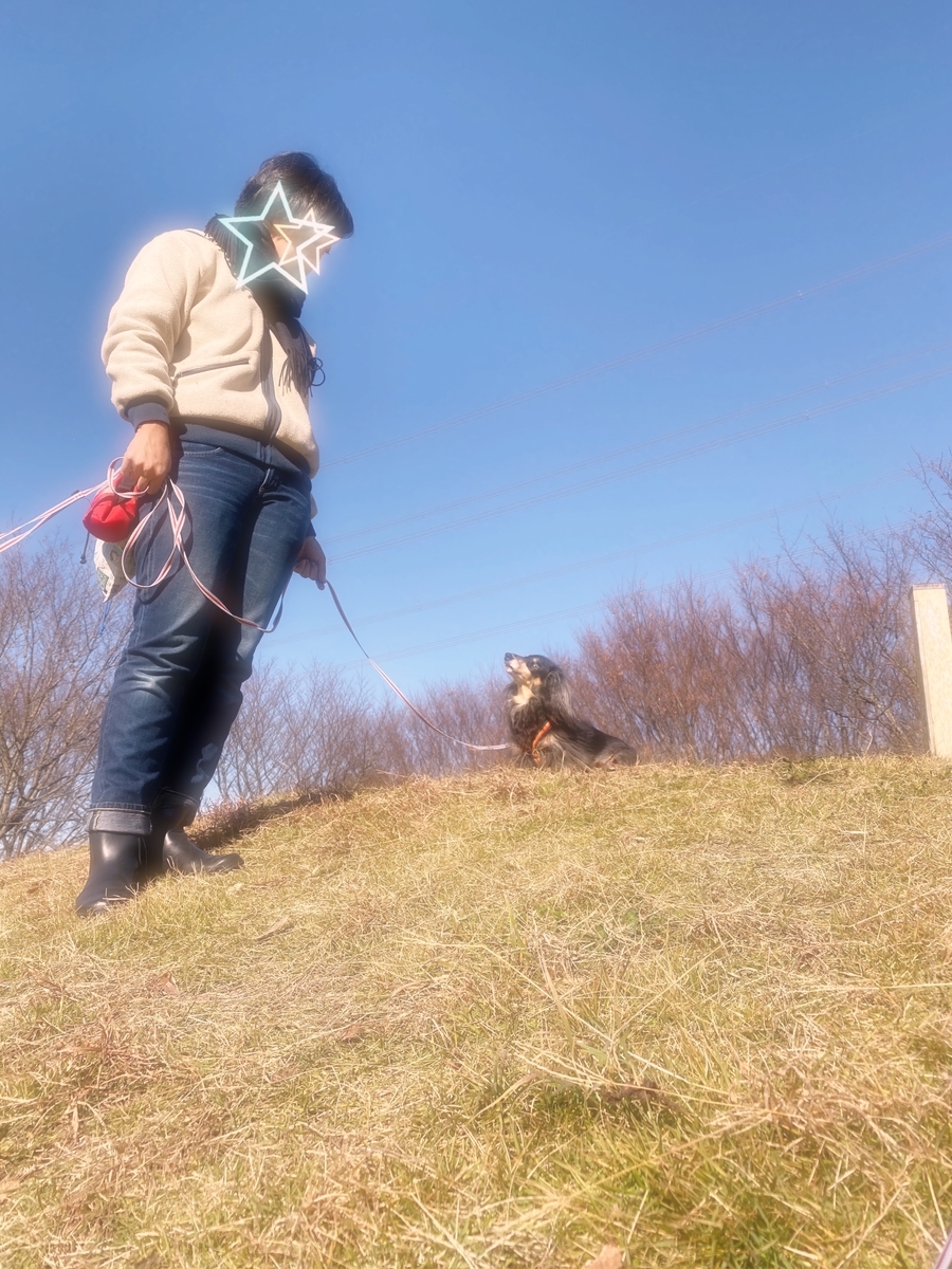 f:id:ancoco5535:20191208222018j:plain