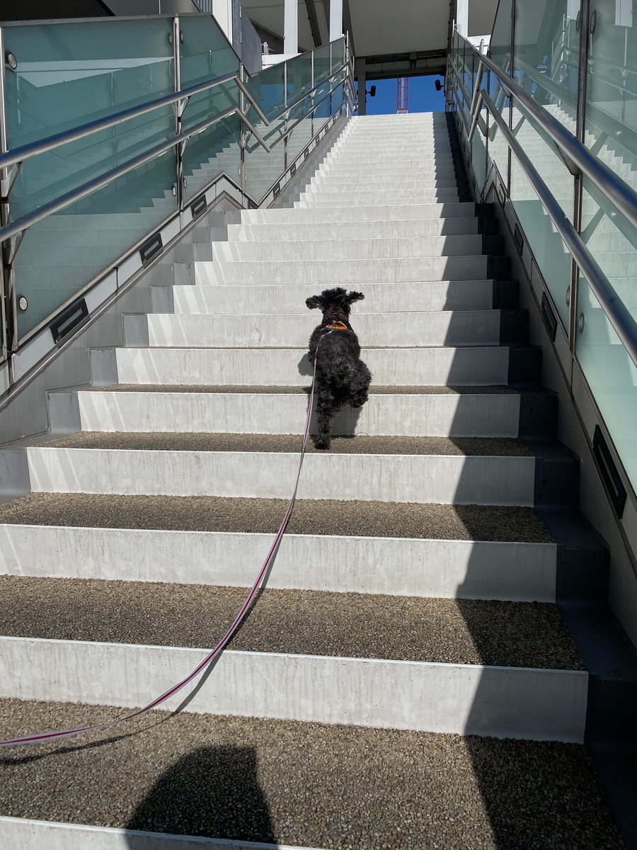 f:id:ancoco5535:20200213093111j:plain