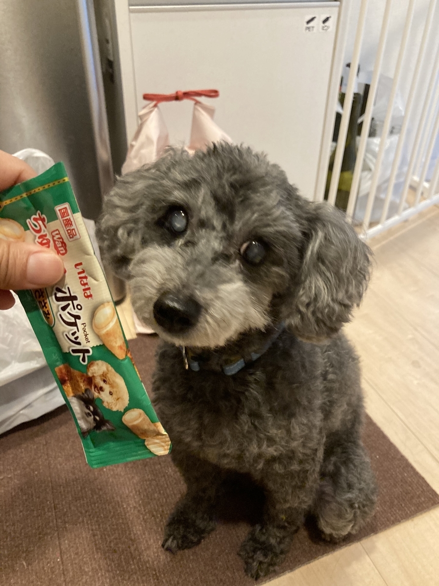 f:id:ancoco5535:20210913101640j:plain