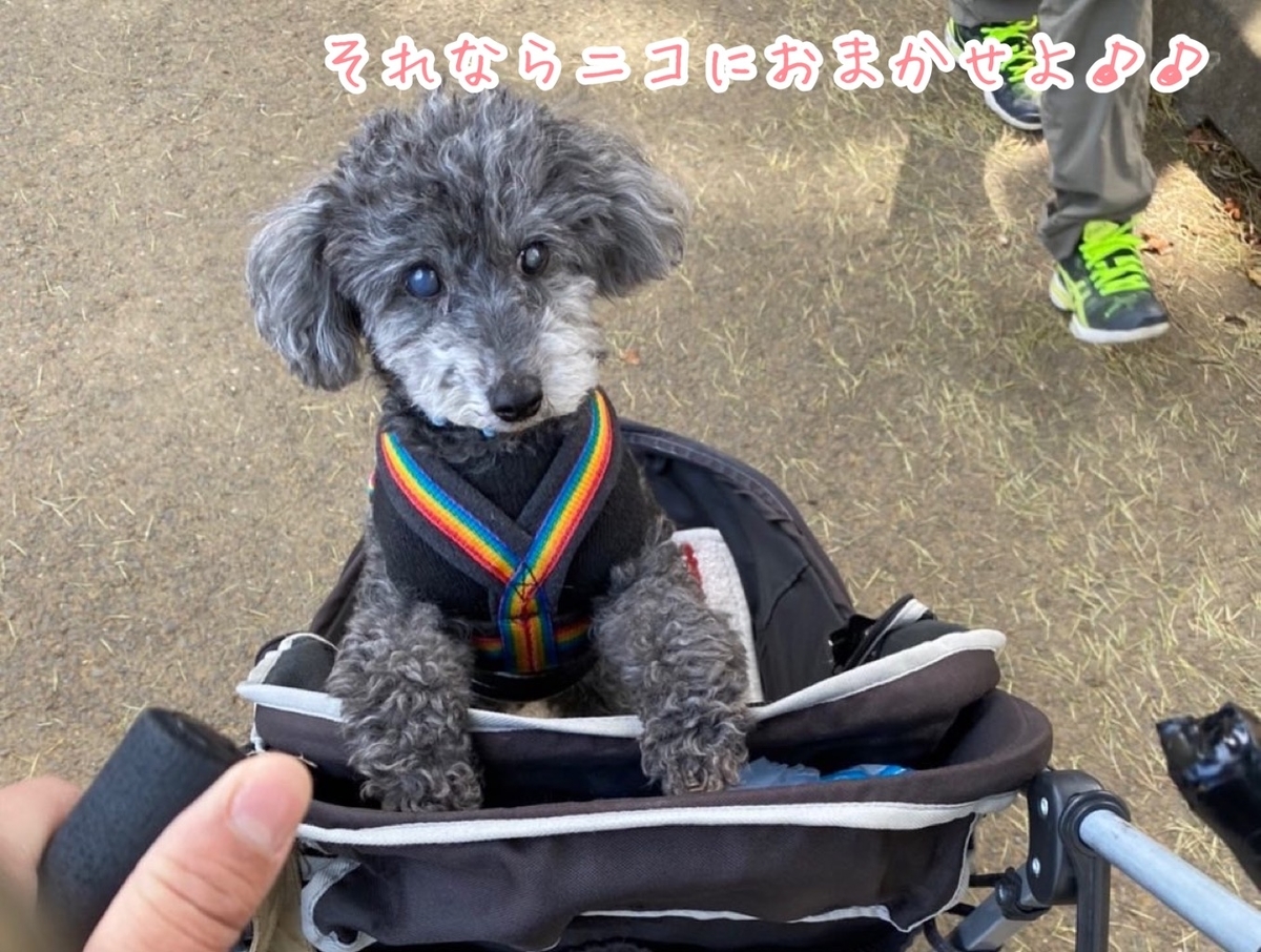 f:id:ancoco5535:20220403101836j:plain