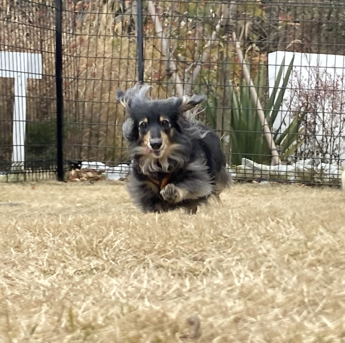 且緩々。(しゃかんかん)ー慌てず、あせらず、ゆっくりとー