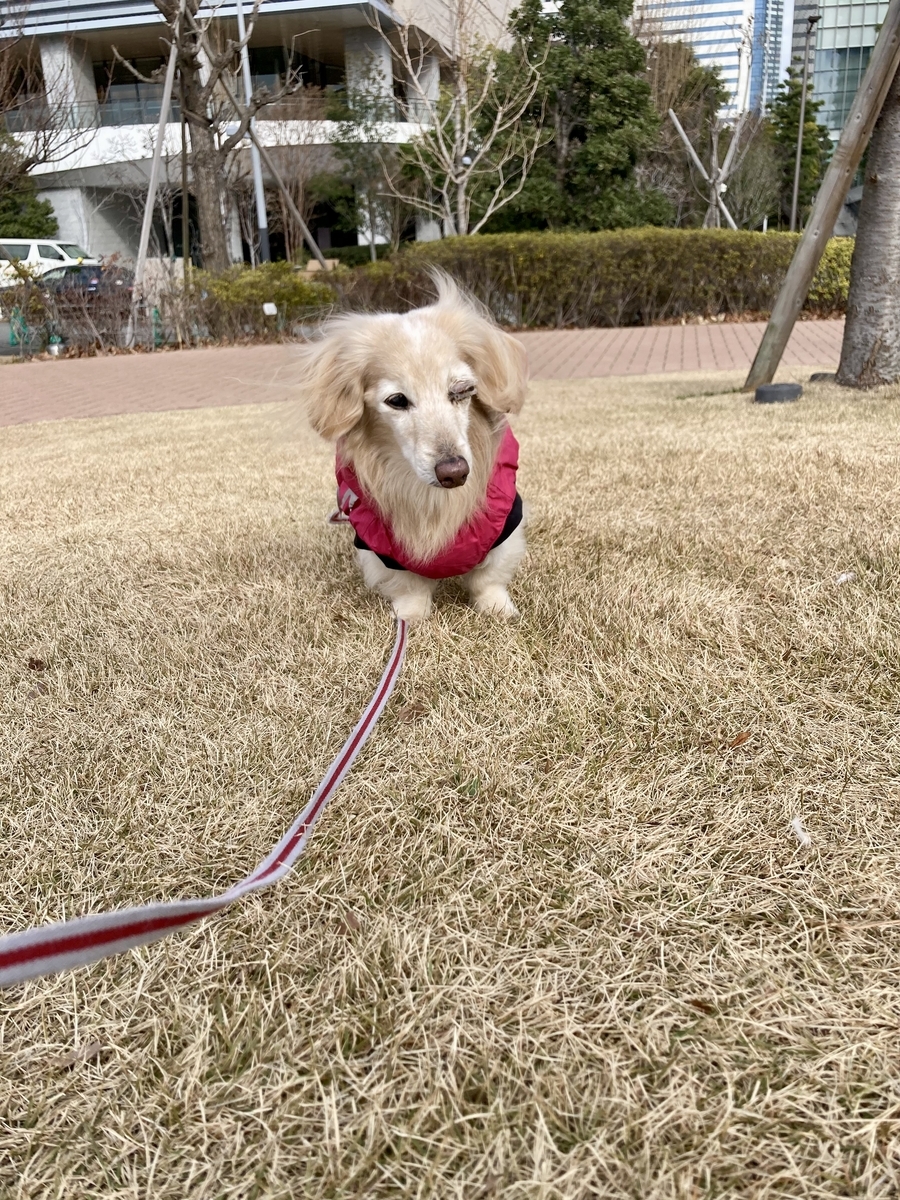 且緩々。(しゃかんかん)ー慌てず、あせらず、ゆっくりとー