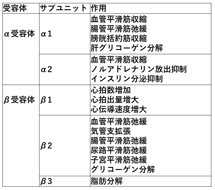 f:id:andQ:20200126225721j:plain f:id:andQ:20200126225721j:plain
