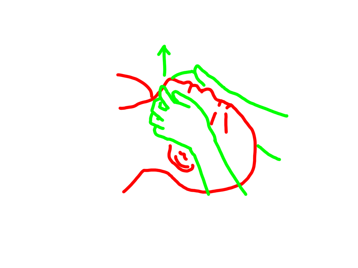 f:id:andQ:20200403214014j:plain f:id:andQ:20200403214014j:plain