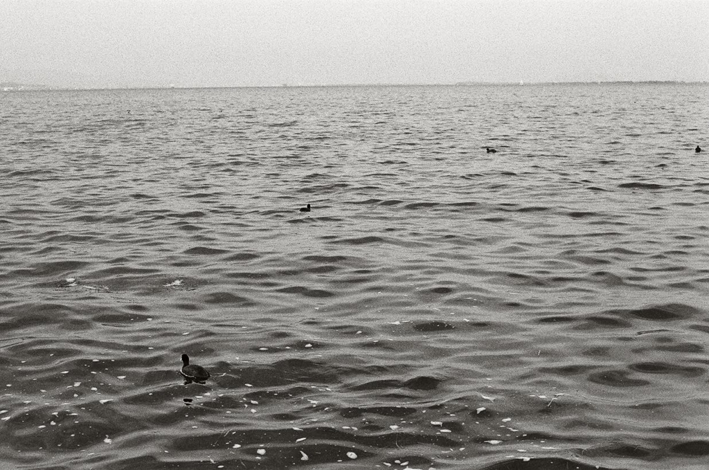 f:id:andaantee:20171216221838j:plain f:id:andaantee:20171216221838j:plain