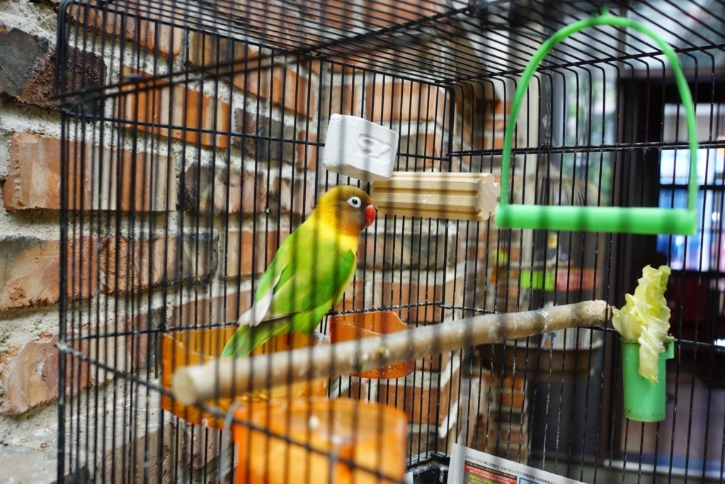 f:id:andaantee:20180519193300j:plain