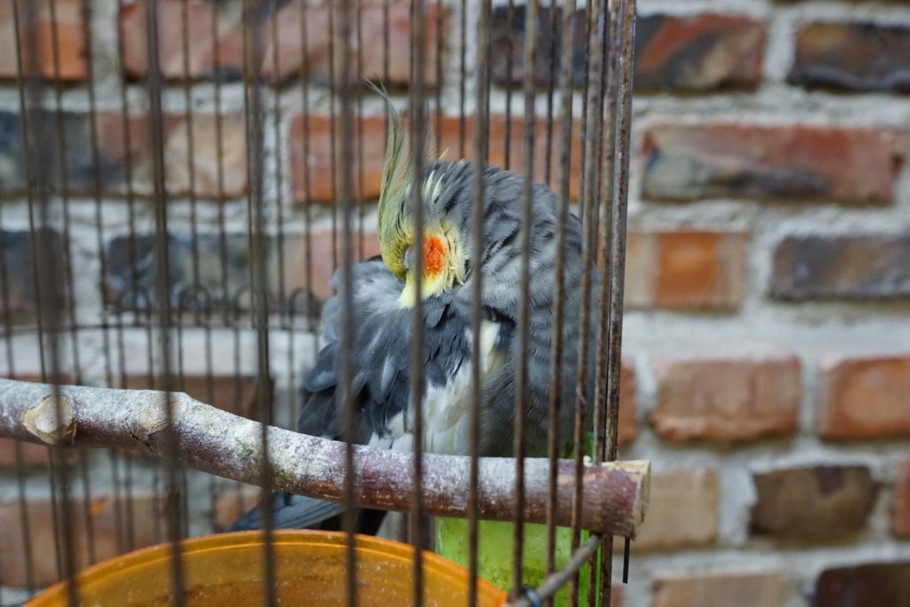 f:id:andaantee:20180519193400j:plain