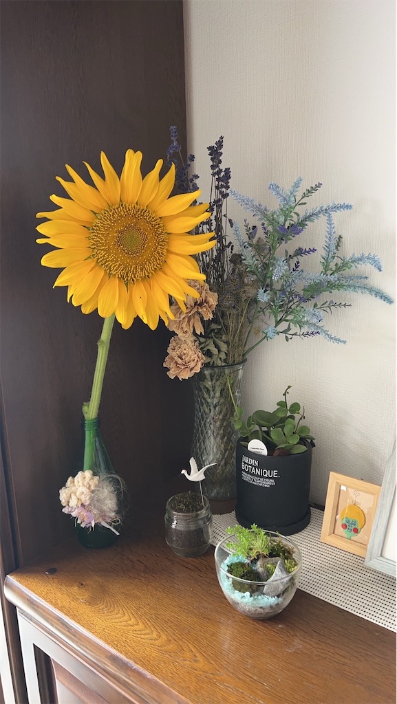 ピスタチオがいつでもご注文いただけます - And ACK宇都宮市 就労継続