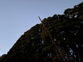 20201206234629