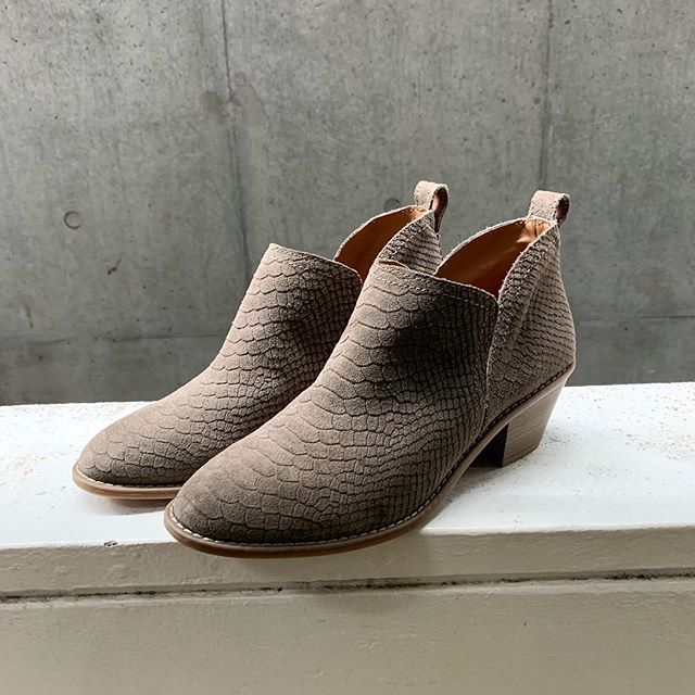 f:id:andco0501:20190720190237j:plain f:id:andco0501:20190720190237j:plain
