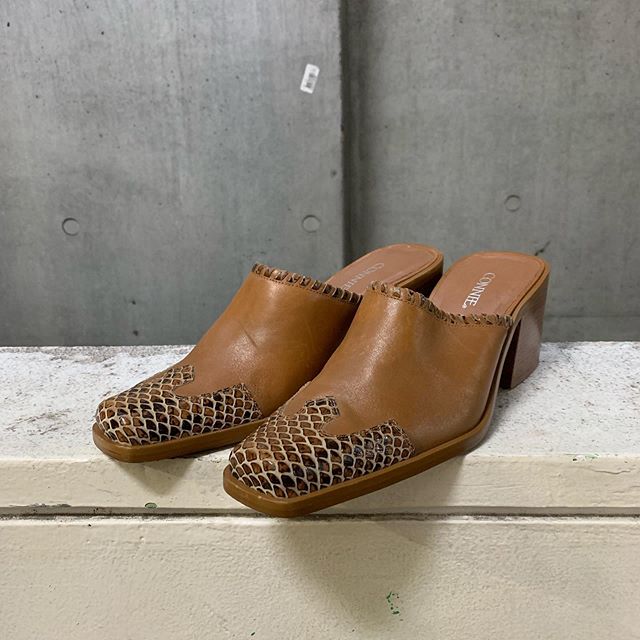 f:id:andco0501:20191113190212j:plain
